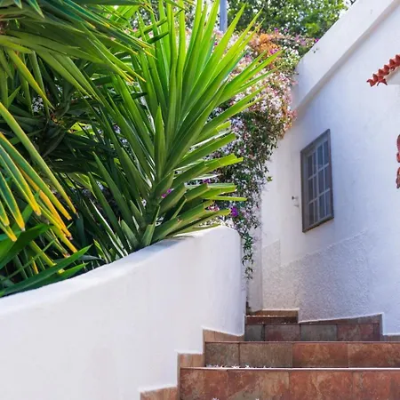 Teide Eco Harmony Semesterbostad El Amparo