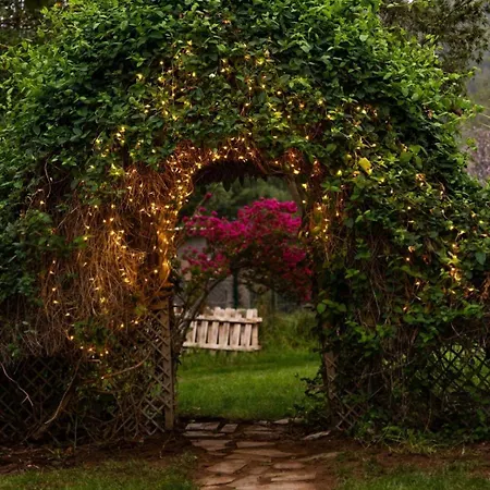 Teide Eco Harmony Semesterbostad El Amparo