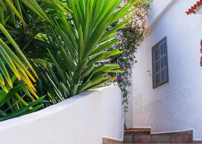 Teide Eco Harmony 度假居 El Amparo