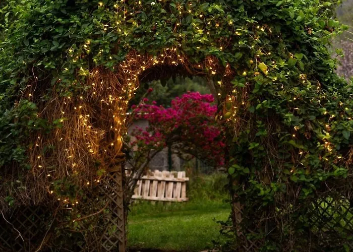 Teide Eco Harmony 度假居 El Amparo